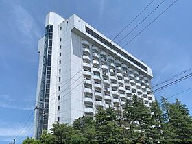 滋賀県守山市水保町（賃貸マンション1R・7階・30.00㎡） その1