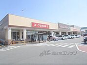 コープ　ながはま店まで600メートル