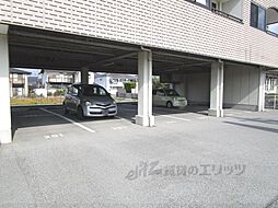 20 / 31