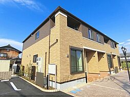 プラシードＮ 102