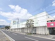 フレンドマート　雄琴駅前店まで260メートル
