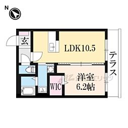 オーガスタ 1LDKの間取図画像
