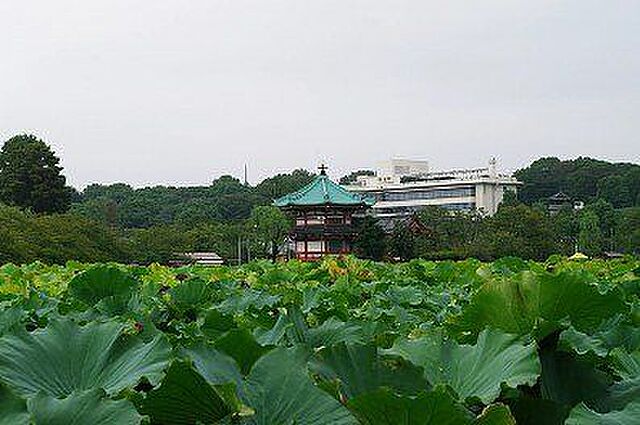 周辺
