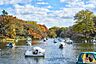 周辺：井の頭恩賜公園の紅葉01 3095m