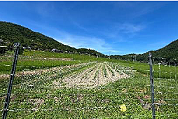物件画像 南丹市園部町売土地