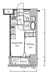 東急田園都市線 池尻大橋駅 徒歩1分の賃貸マンション 5階1DKの間取り