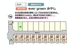 ever green みやし