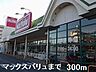 周辺：マックスバリュまで300m