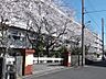 周辺：千葉市立宮野木小学校（230m）