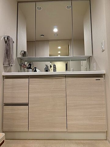 洗面 プレミスト京都西院 1階/-