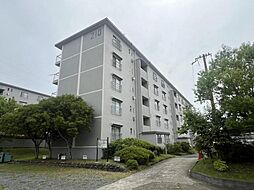 物件画像 男山第3住宅210棟