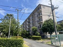 物件画像 男山第四住宅（男山第4住宅）1階