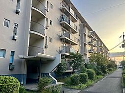 物件画像 男山第四住宅(男山第4住宅)