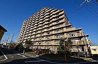埼玉県八潮市緑町3丁目20-1：物件画像
