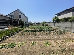 多度津町道福寺家庭菜園から住宅用地まで。
