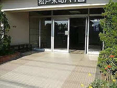 緑に囲まれた入口の様子