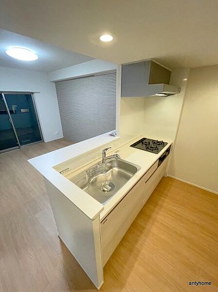 IBC Residence West ｜大阪府大阪市中央区北久宝寺町4丁目(賃貸マンション2LDK・9階・56.22㎡)の写真 その5