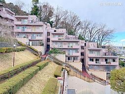 物件画像 コスモ綱島台3号館