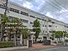 周辺：横浜市立新田中学校まで約210m（徒歩3分）