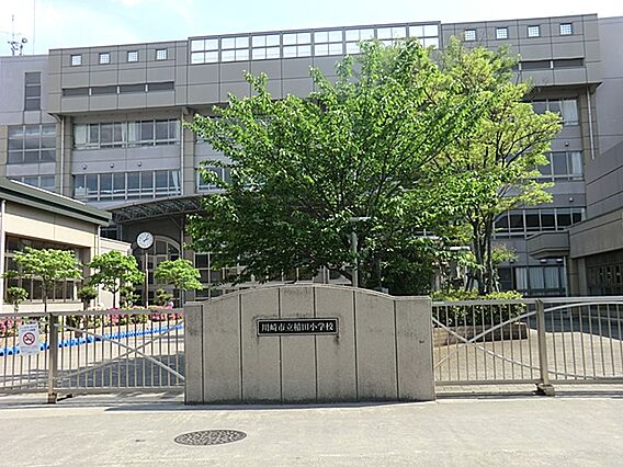 川崎市立稲田小...