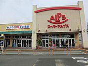 スーパーアルプス伊勢原下落合店まで約660m（徒歩9分）