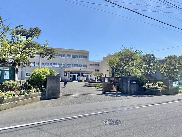 周辺を拡大表示
