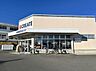 周辺：クリエイトＳ・Ｄ 伊勢原石田店まで約1000m（徒歩13分）