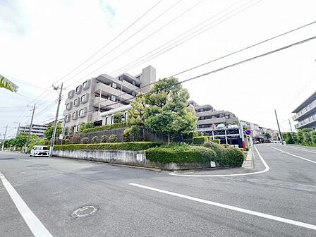 ぜひ現地をご覧くださいませ。