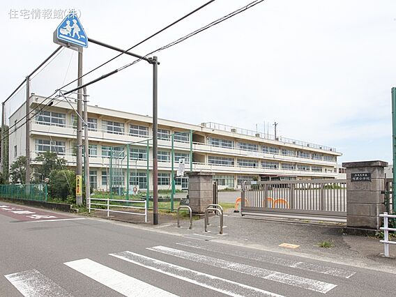 海老名市立有鹿...