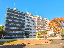 物件画像 県ドリームハイツ15号棟