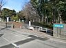 周辺：古淵鵜野森公園まで約180m（徒歩3分）