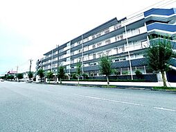 サンクレイドル日野