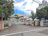 周辺：川口市立在家小学校まで約650m（徒歩9分）
