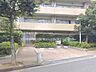 周辺：北朝霞保育園分園まで約270m（徒歩4分）