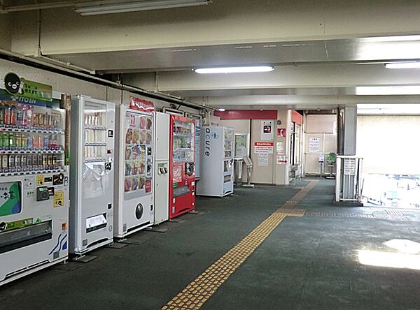 周辺を拡大表示