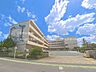 周辺：吉川市立中曽根小学校まで約1000m（徒歩13分）