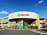 周辺：たいらや 緑店まで約870m（徒歩11分）