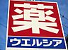 周辺：ウエルシア小牧久保一色店まで約1010m（徒歩13分）