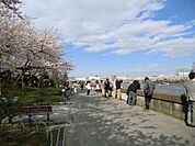 隅田川リバーサイド 230m