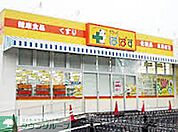 どらっぐぱぱす島根店 徒歩20分。ドラックストア 1600m
