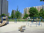 さかえ公園 20m