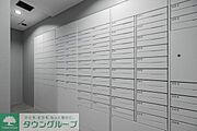 2026年1月撮影