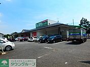 業務スーパー松戸新田店 徒歩12分。スーパー 890m