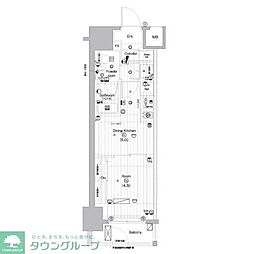 プレミアムキューブ亀戸 1DKの間取図画像