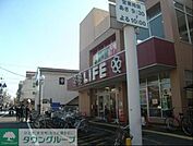 ライフ東向島店 843m