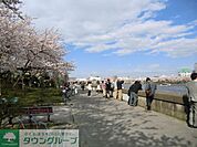 隅田川リバーサイド 230m