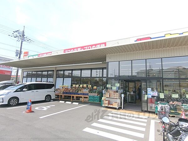 ラモンターニュ招提 203｜大阪府枚方市招提元町３丁目(賃貸アパート2LDK・2階・56.60㎡)の写真 その24