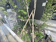 植栽