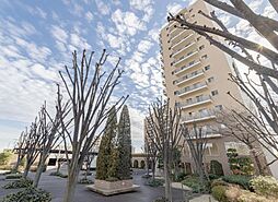 物件画像 ソル・シエーナ川口