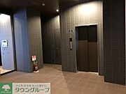 2018年1月撮影